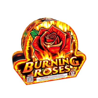 Goede prijs 200G Outdoor Fountain Fireworks Burning Roses 20x26x165 18x22x95mm online
