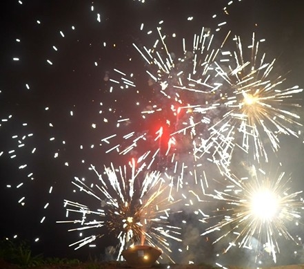 Goede prijs Gepersonaliseerde Fountain Consument Cake Fireworks Fan in de vorm van 15 Shots 500g 100s online