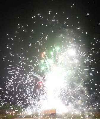 Goede prijs Fountain vuurwerk DJ25203, Rectangle, 14 schoten 0.8 inch, 1/1,500g, 135s online