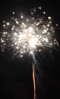 Buen precio 100 disparos de los consumidores Torta fuegos artificiales China petardos para la celebración de la fiesta de bodas en línea