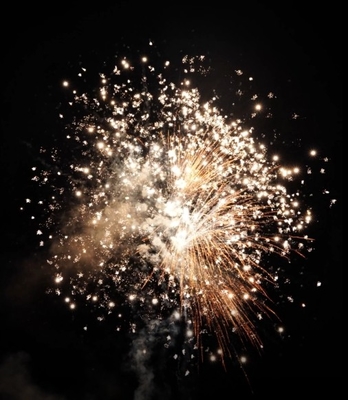 Giá tốt. Đám cưới Pyrotechnics Công nghệ bánh tiêu dùng pháo hoa 100 shot 1.2 inch 1.4G UN0336 trực tuyến