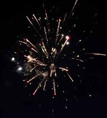Giá tốt. Bánh pháo hoa 25 phát 0.8 inch Lễ cưới Liuyang Fire Crackers 1.4G UN0336 trực tuyến